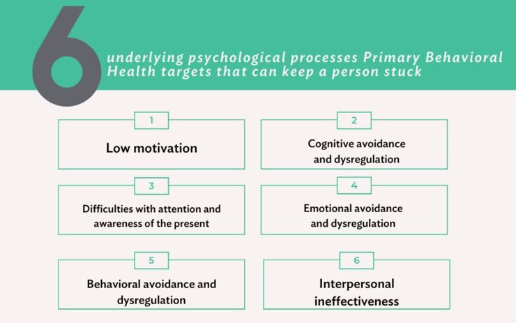 Primary Behavioral Health targets
