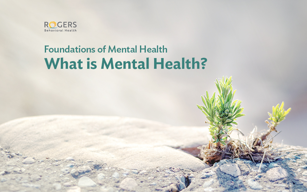 A small plant grows out of a rock crevice with text about mental health. Text across the image reads "Foundations of Mental Health: What is Mental Health?"